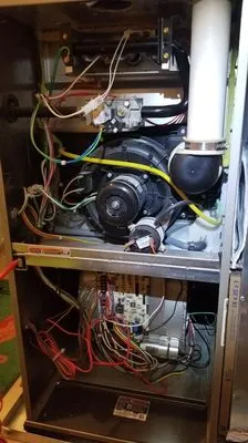 Pasieka Engineering Logo