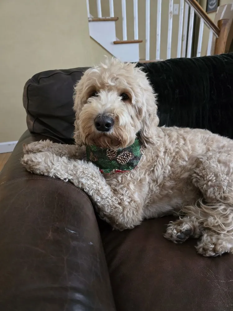 Slide of Patterson Electric