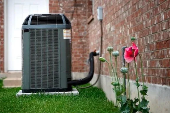 Slide of Pattie Electric