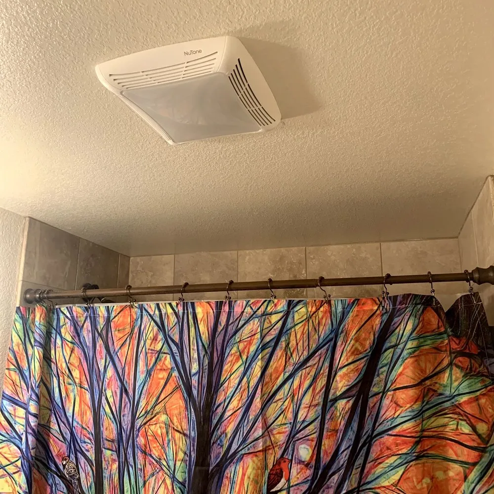 Slide of Paul’s electric