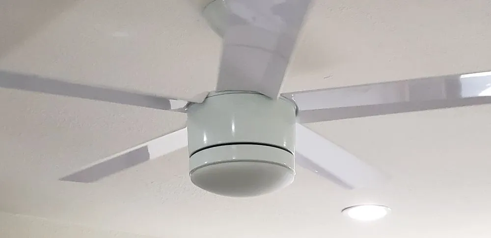 Slide of Paul’s electric