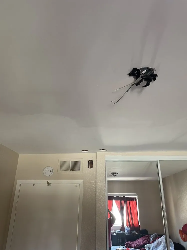 Slide of Paul’s electric