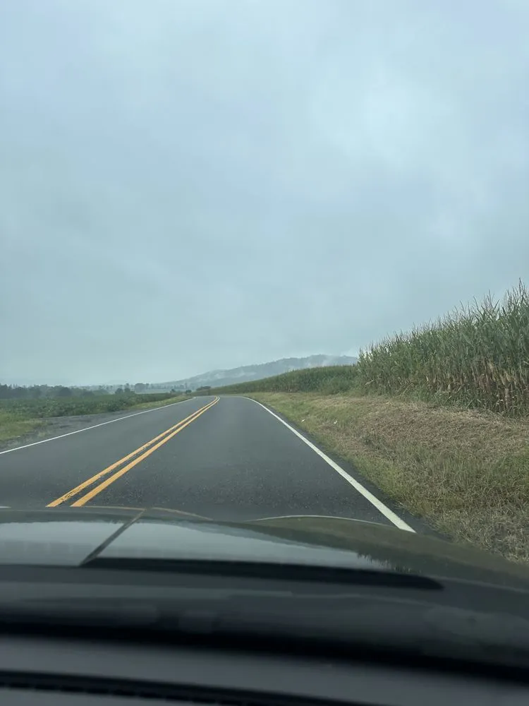 Slide of Paul’s Electric