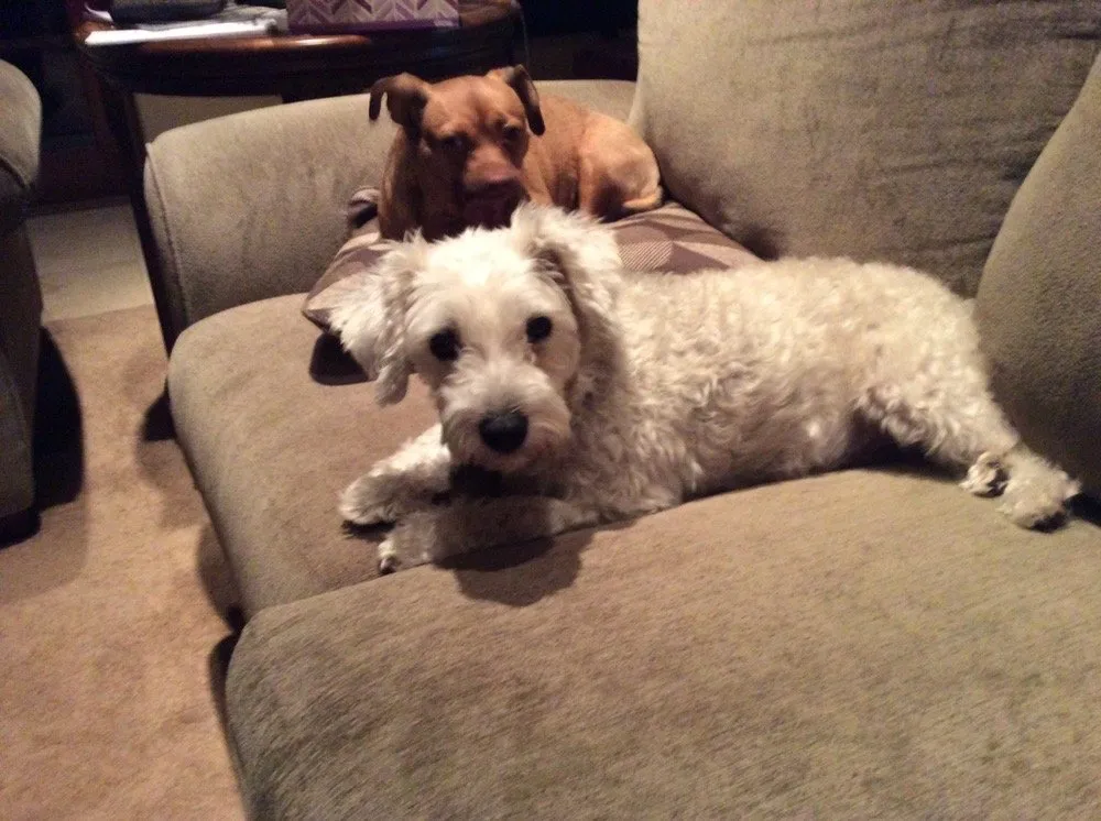 Slide of Peace of Mind Electric