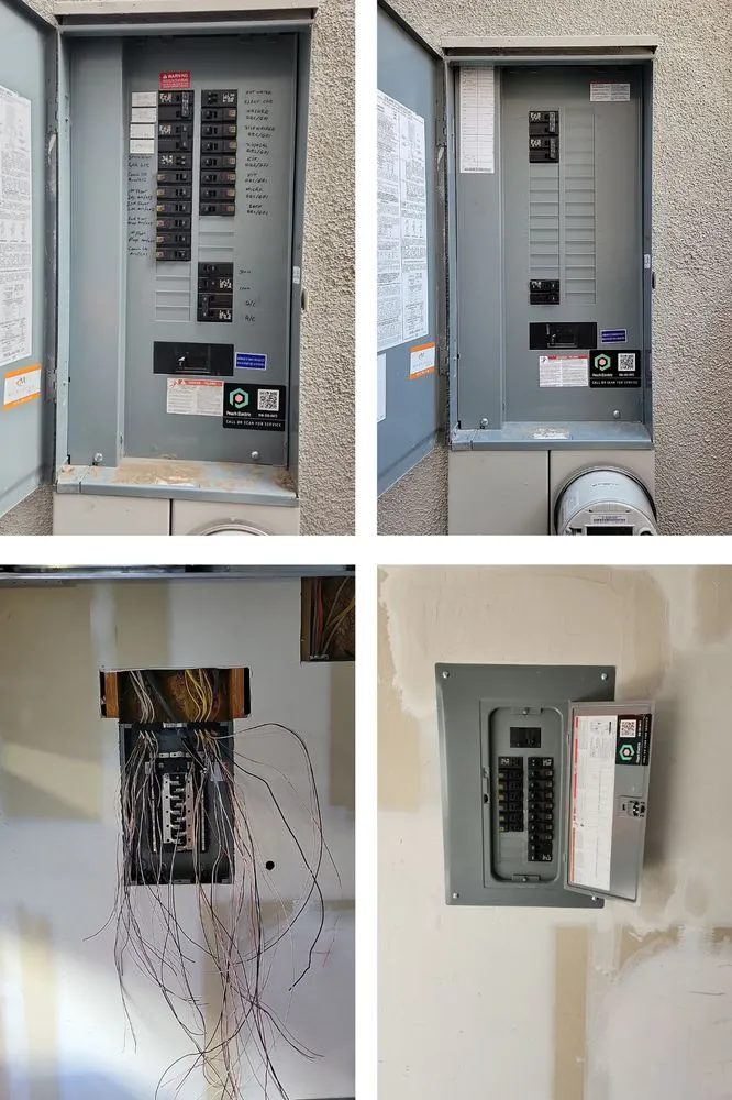 Slide of Peach Electric