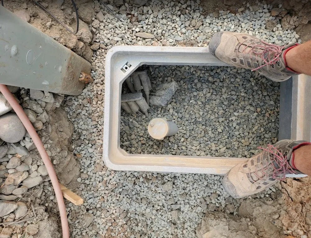 Slide of Peach Electric