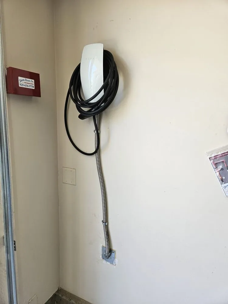 Slide of Peach Electric