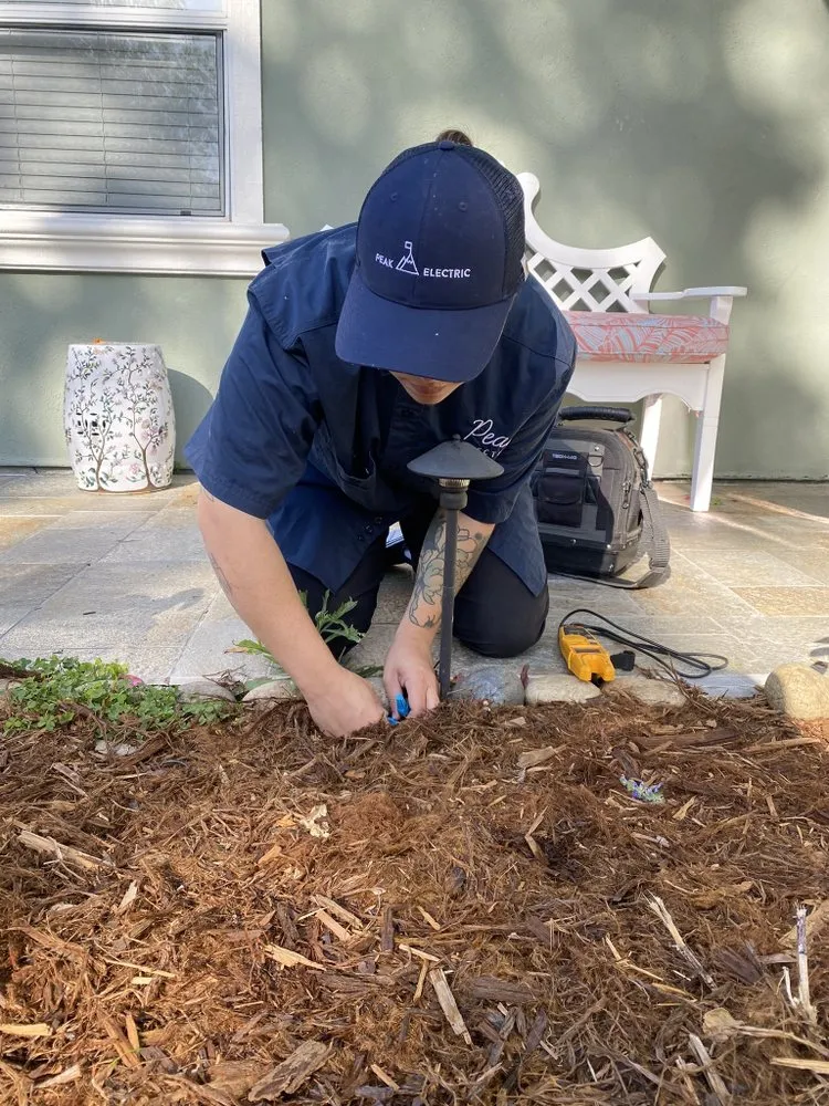 Slide of Peak Electric