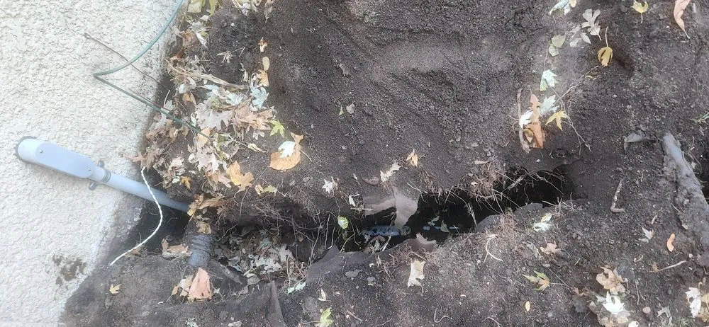 Slide of Peder Power