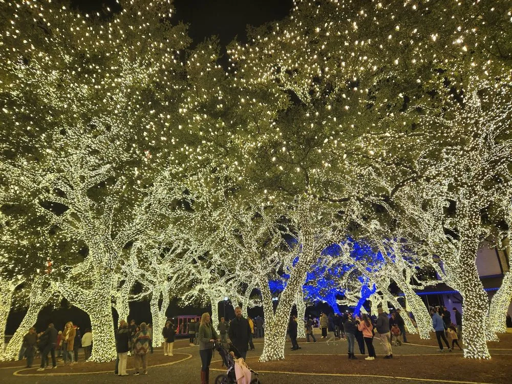 Slide of Pedernales Electric Cooperative