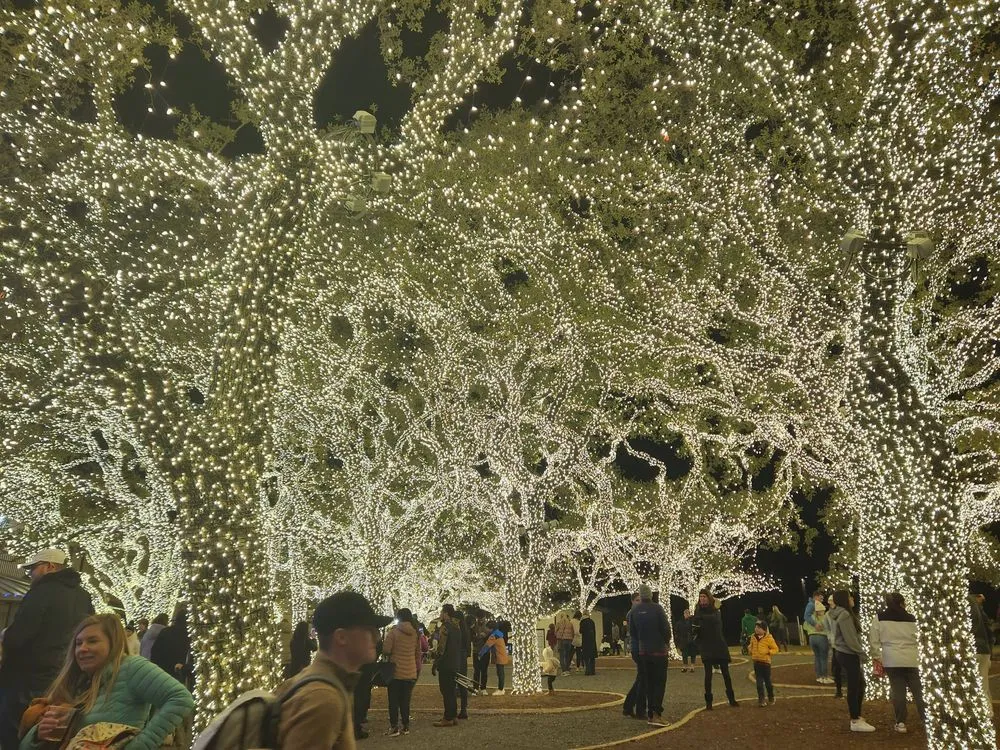 Slide of Pedernales Electric Cooperative