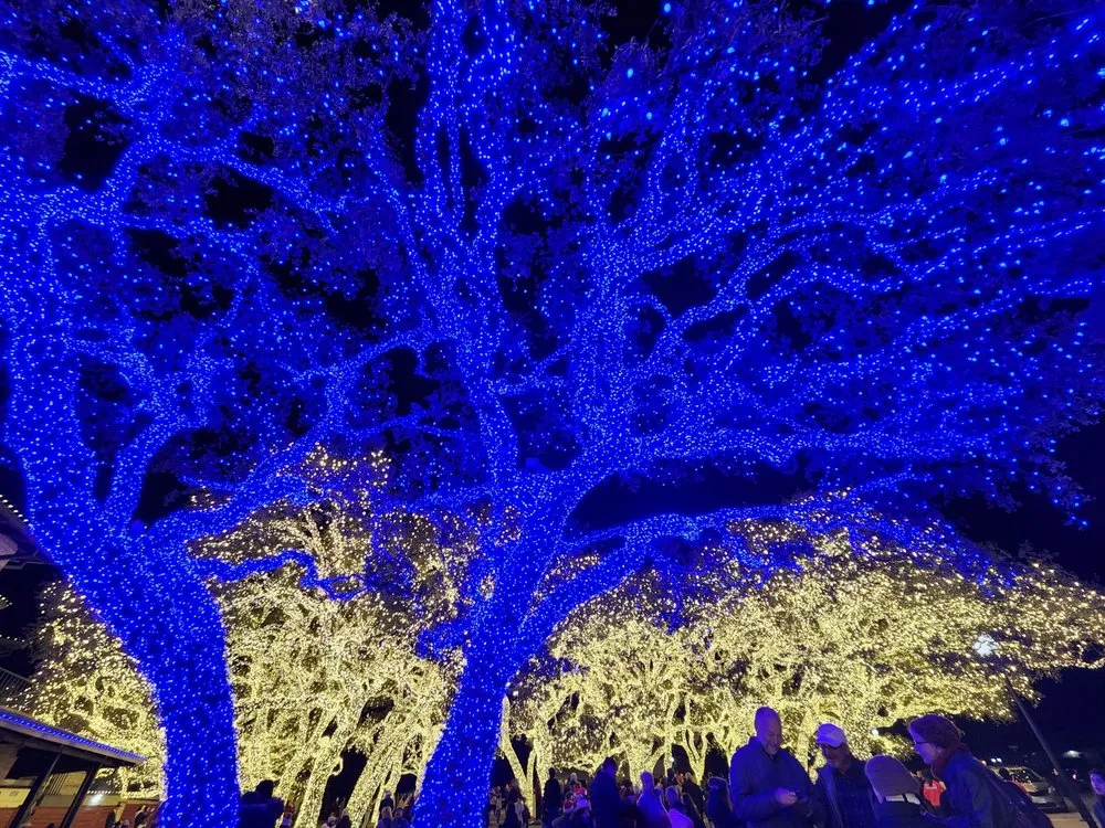 Slide of Pedernales Electric Cooperative