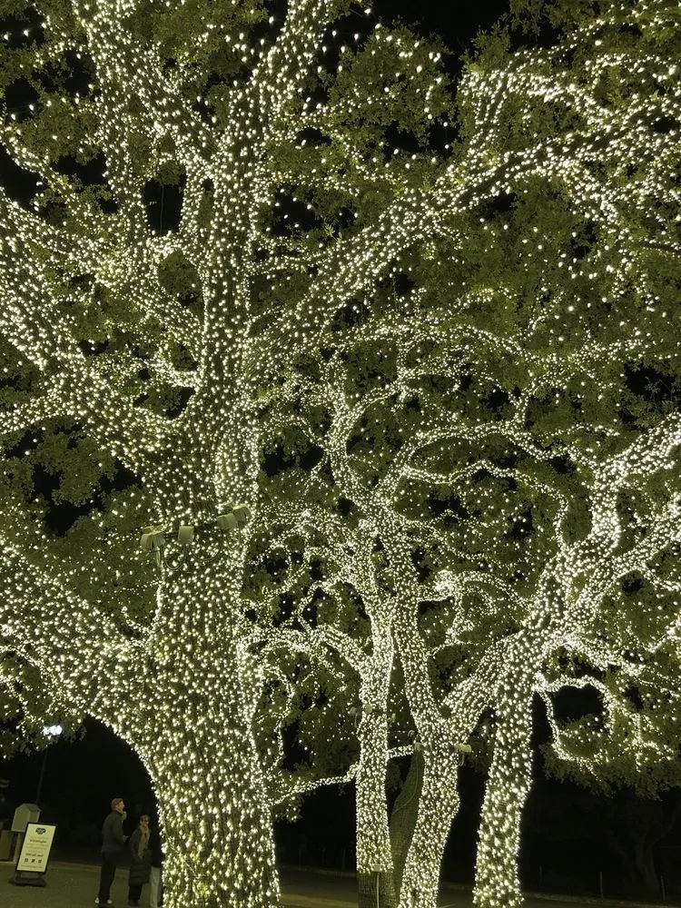 Slide of Pedernales Electric Cooperative