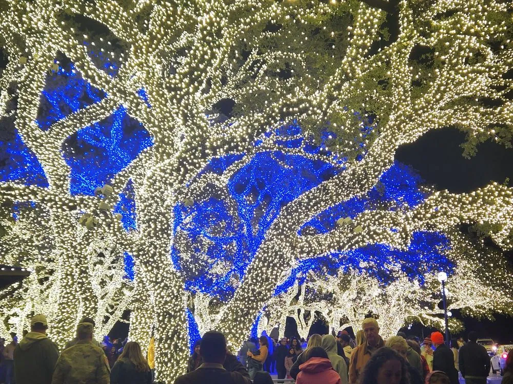 Slide of Pedernales Electric Cooperative