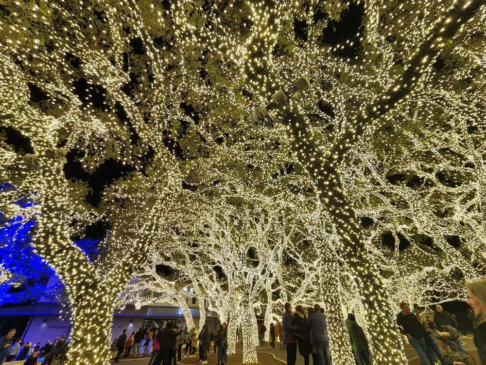 Slide of Pedernales Electric Cooperative