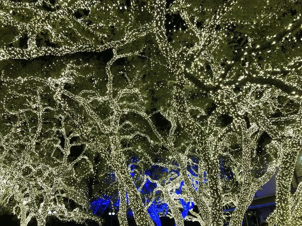 Slide of Pedernales Electric Cooperative