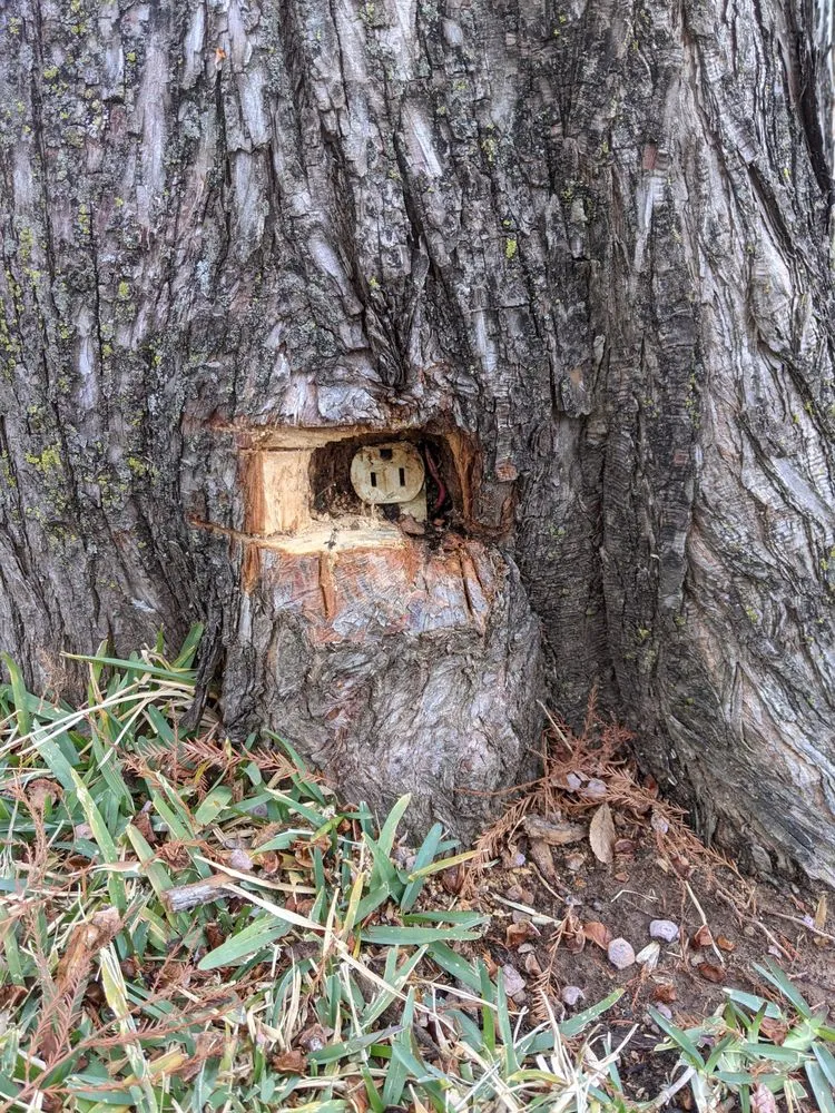 Slide of Peerless Electric