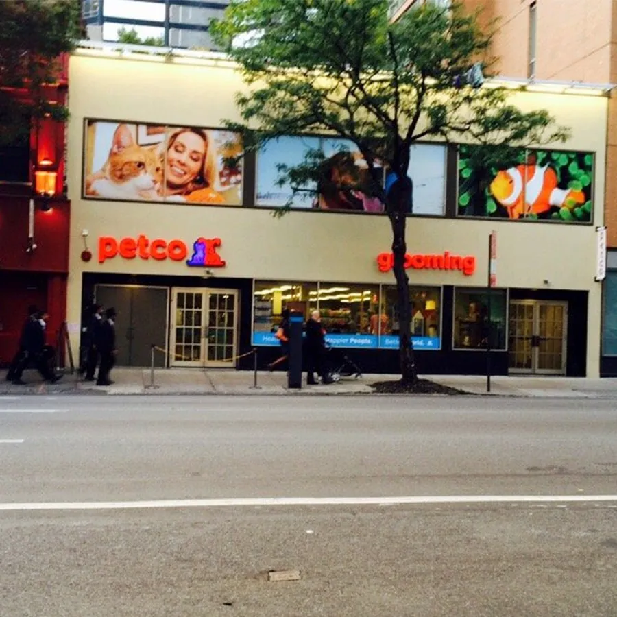 Slide of Pegasus Electrical Corporation