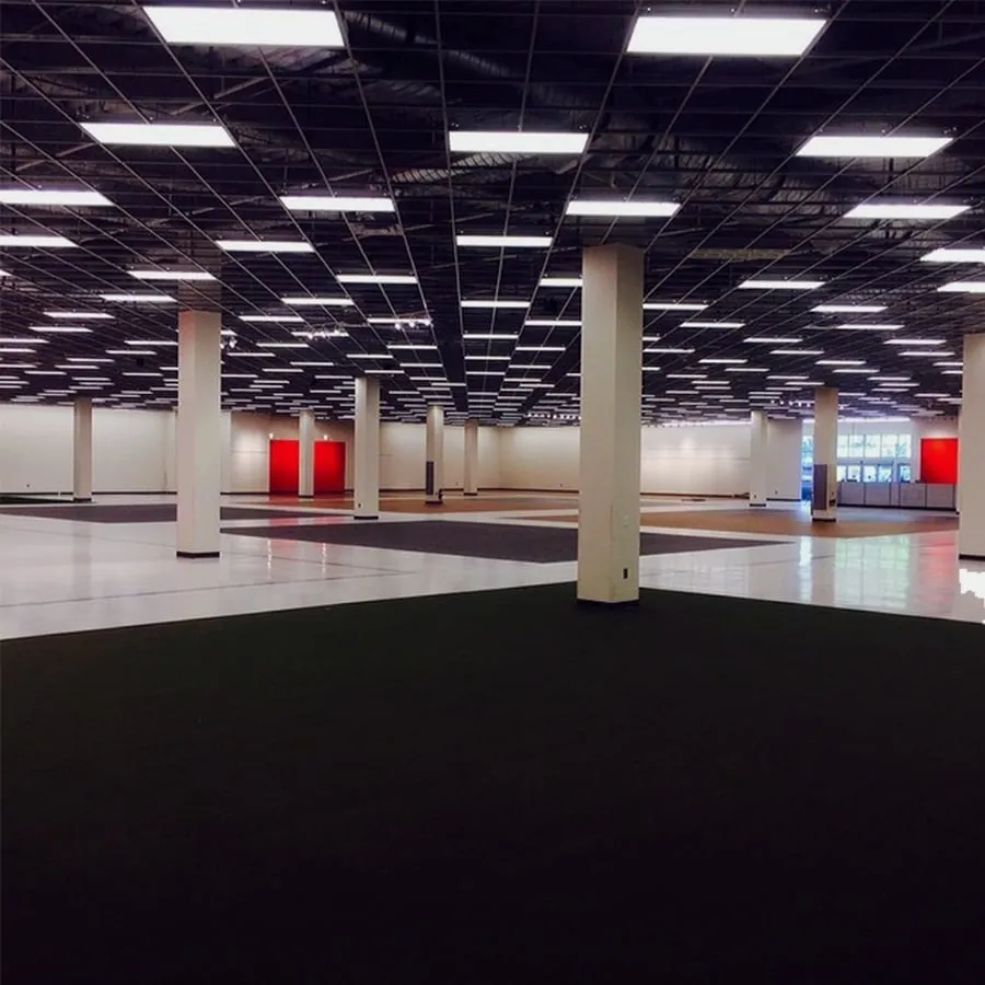 Slide of Pegasus Electrical Corporation