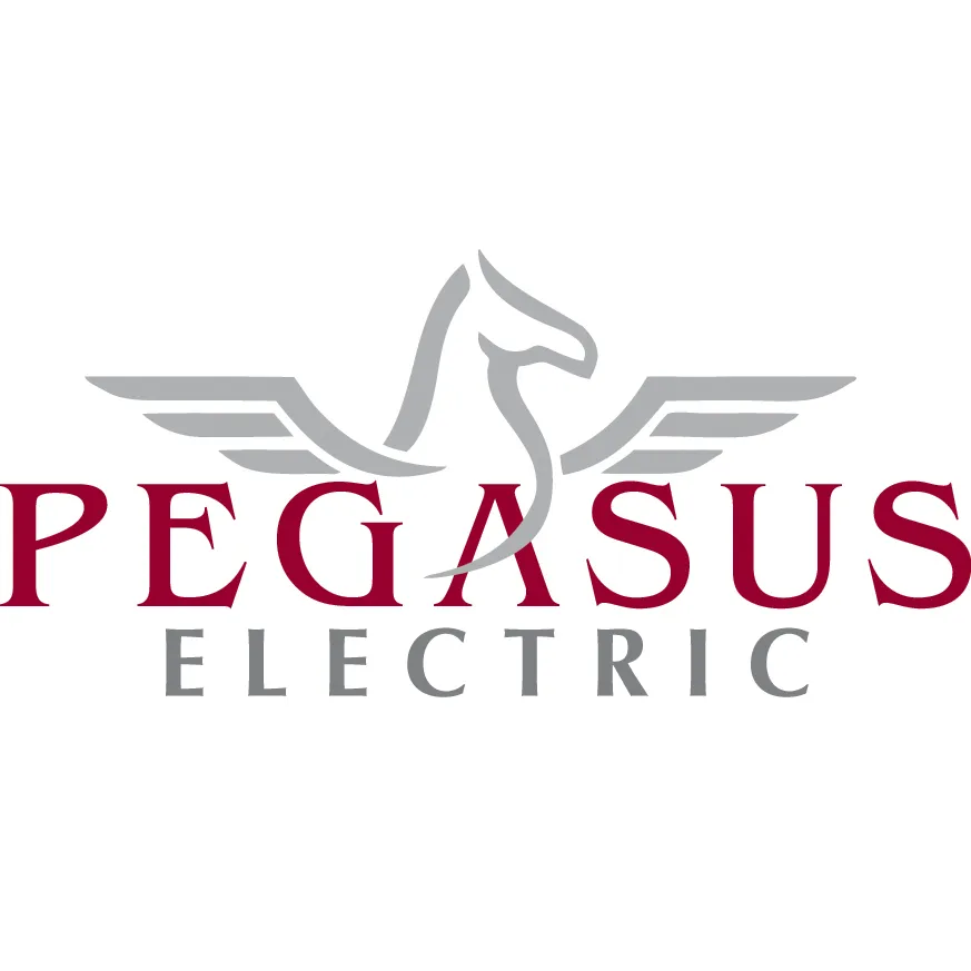 Slide of Pegasus Electrical Corporation