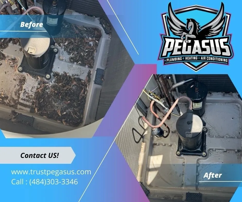 Affordable panel upgrade service in ,  - Pegasus Home Services