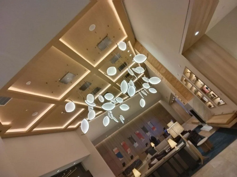 Slide of Pegasus Sparky Electrical