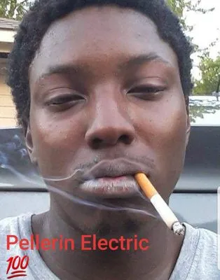 Pellerin Electric