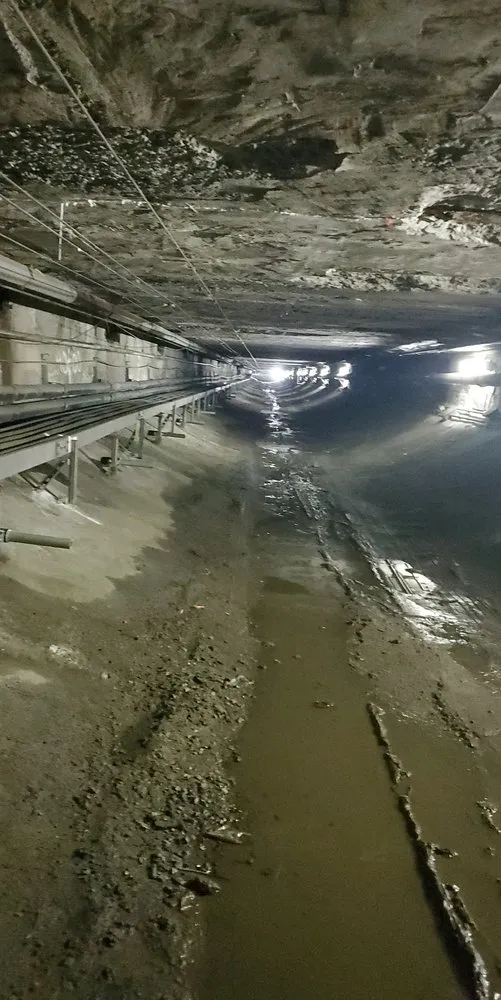 Reliable electrical service for homes in lighting installation,  by 