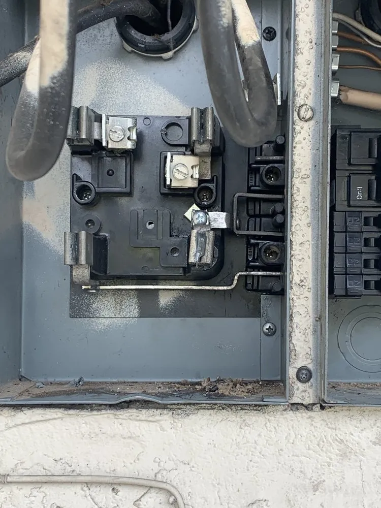 Slide of Penguin Electric