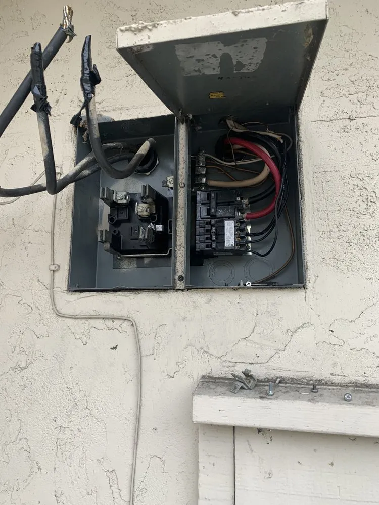 Slide of Penguin Electric