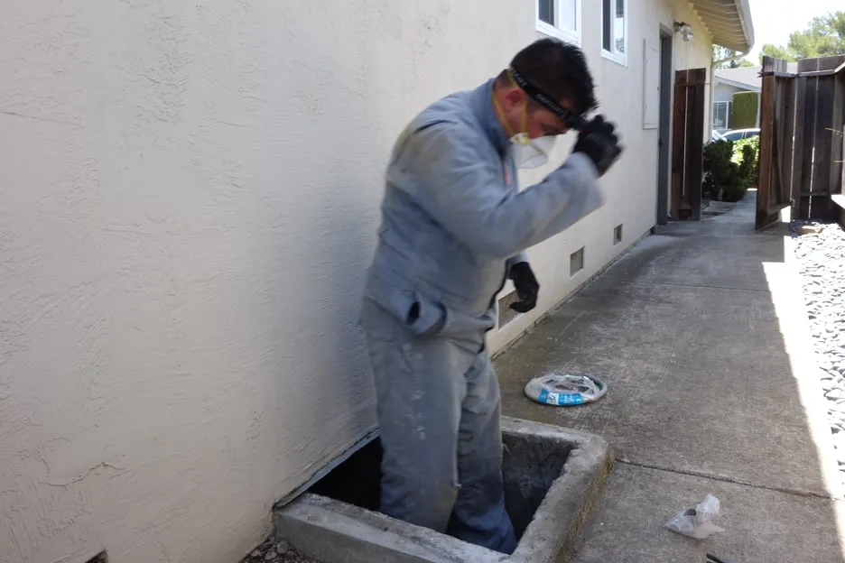 Slide of Penguin Electric