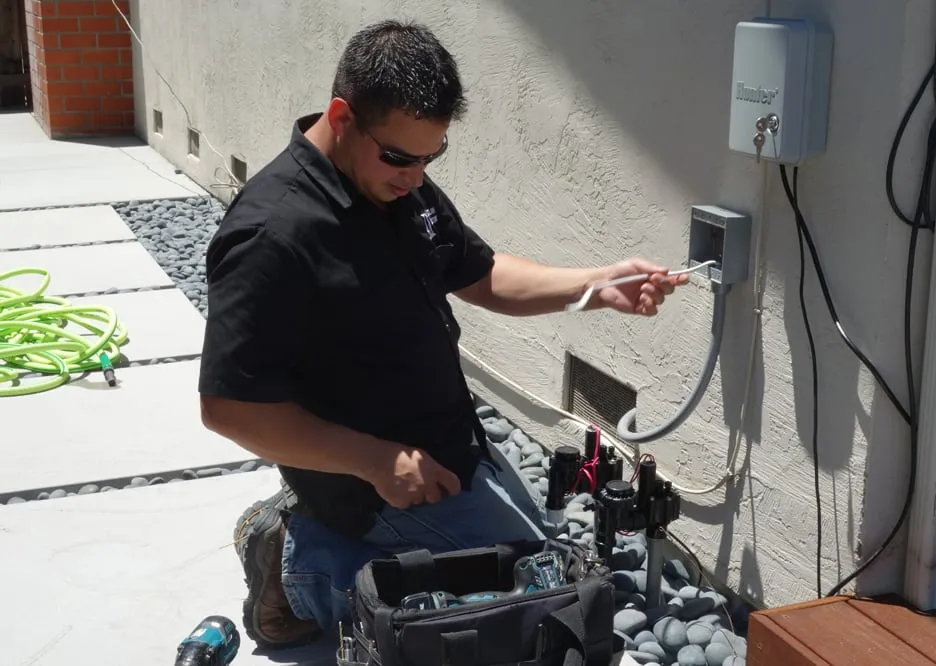 Slide of Penguin Electric