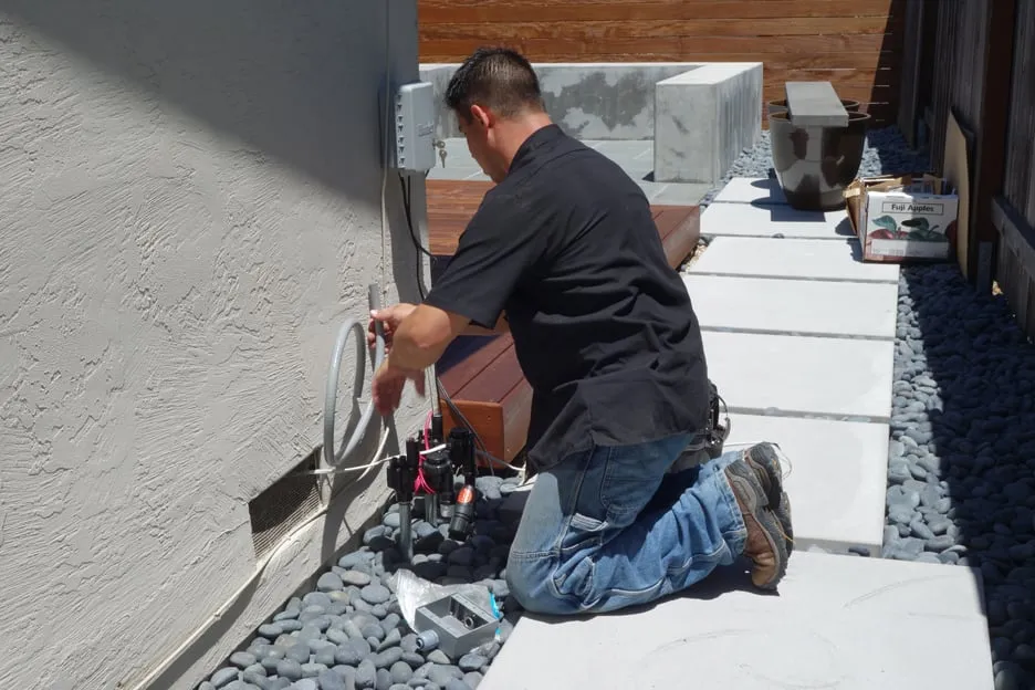 Slide of Penguin Electric