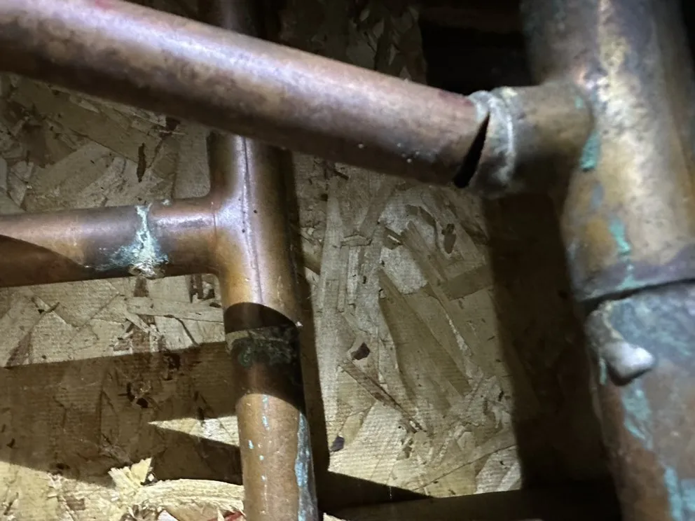 Slide of Pepinillo’s Handyman