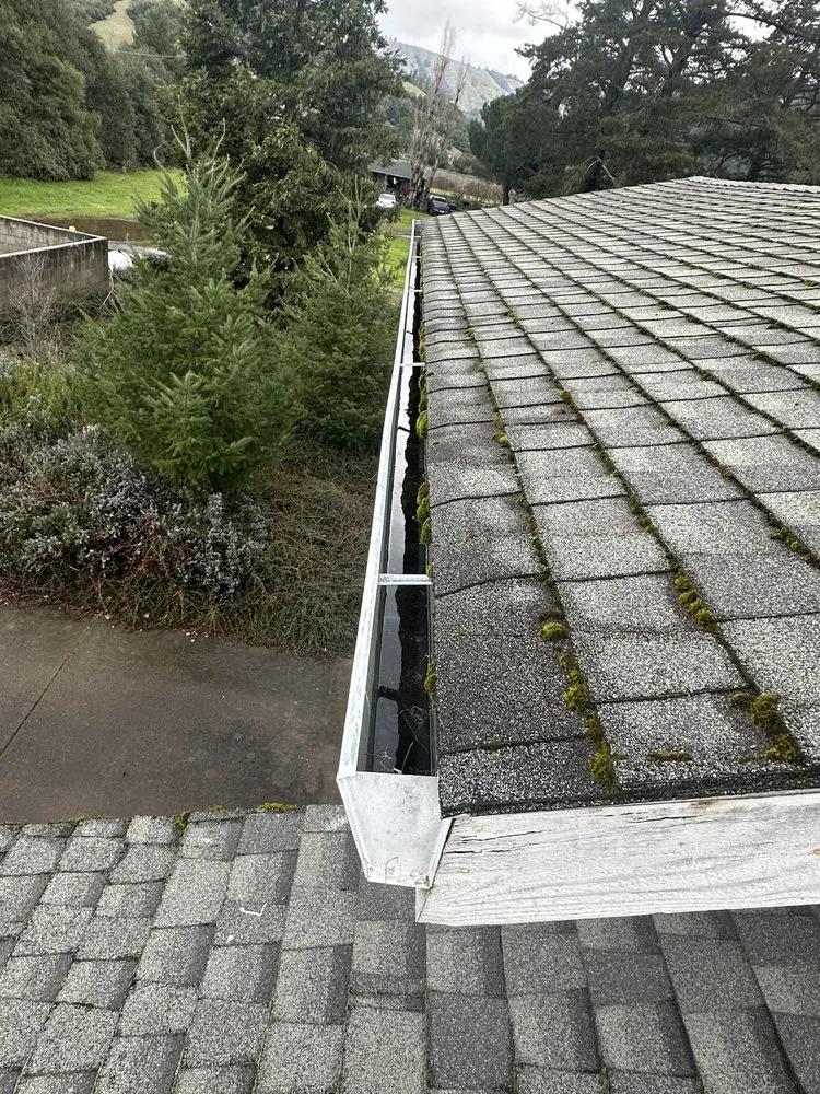 Slide of Pepinillo’s Handyman