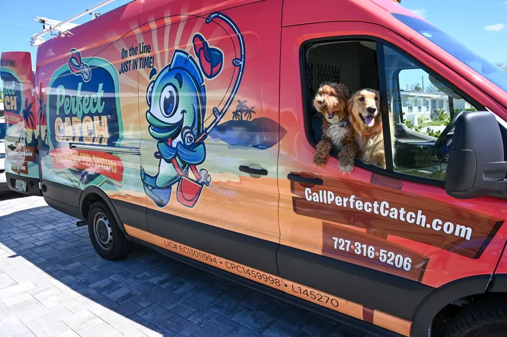 Slide of Perfect Catch