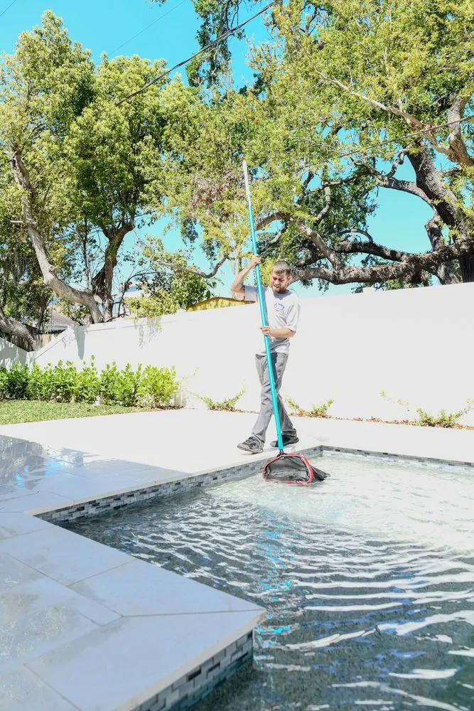 Slide of Perfect Catch