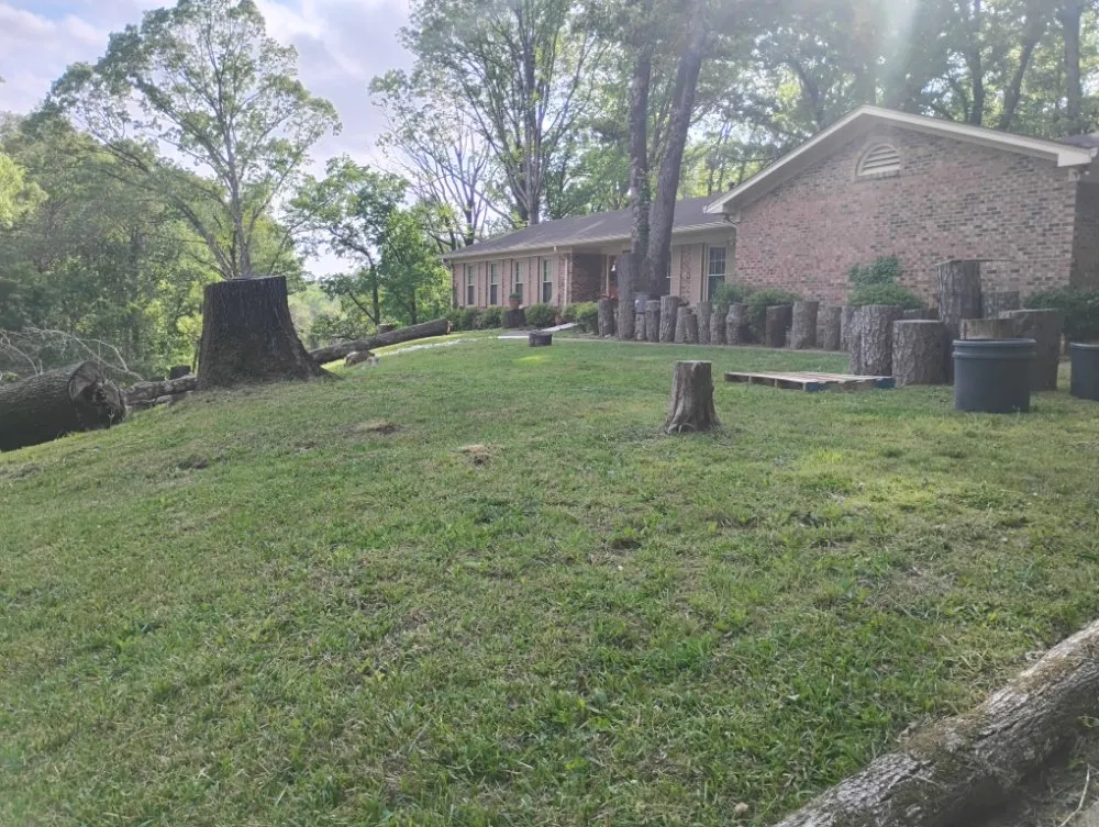 Slide of Perfect Lawn Care