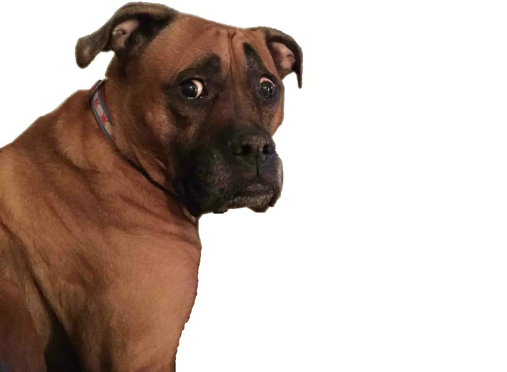 Slide of Performance