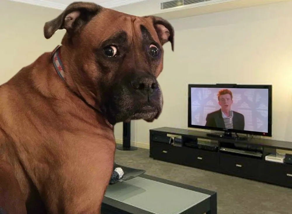 Slide of Performance