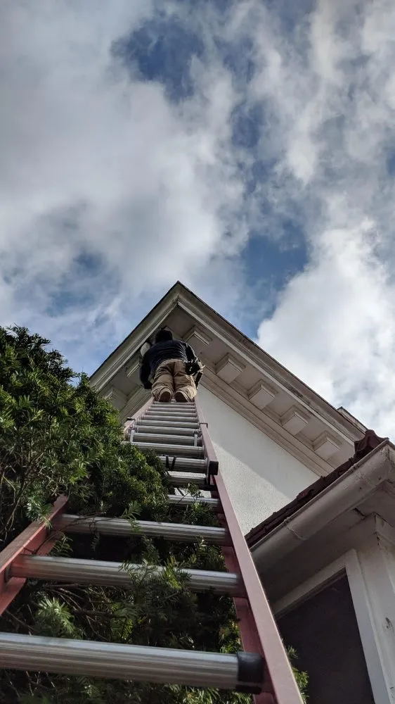 Slide of PET Electric