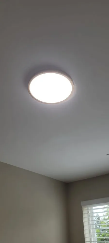 Affordable outlet and switch repair service in ,  - Petar Tachev