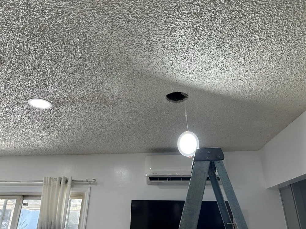 Slide of Peter Wrate Electric