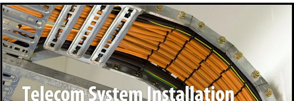 Slide of Pfeiffer & Son