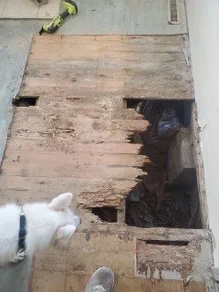 Slide of Phoenix Diversified