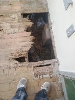 Slide of Phoenix Diversified