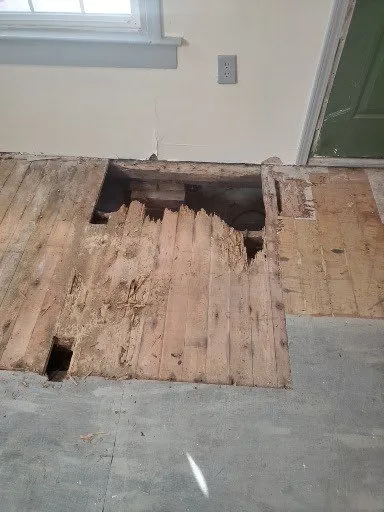 Slide of Phoenix Diversified