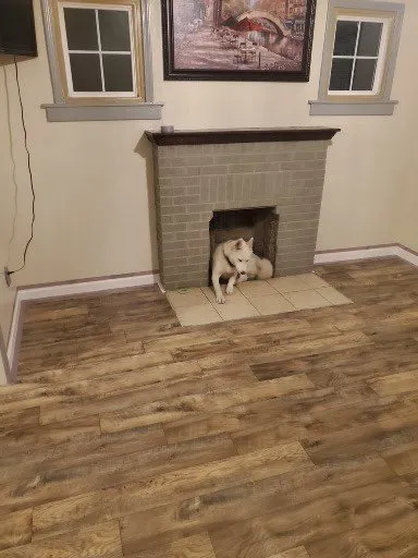 Slide of Phoenix Diversified