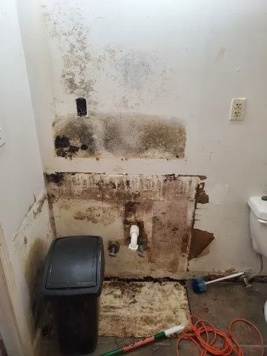 Slide of Phoenix Diversified