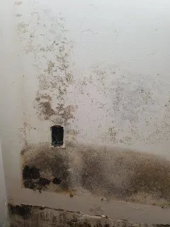 Slide of Phoenix Diversified